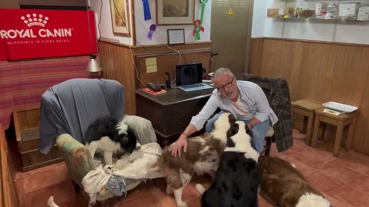 Desparasitacion pre parto