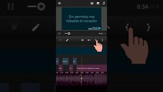 Video Lyrics - Cómo se usa screenshot 4