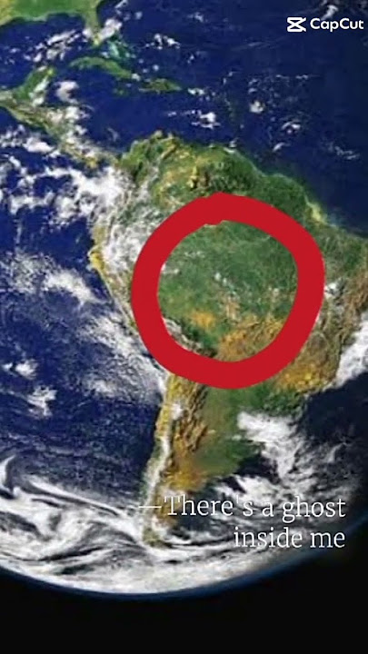 wilif wilof woilah 🗿