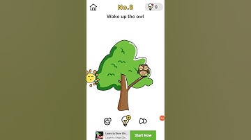 #SANJU VIDEOS # brain out game wake up the owl