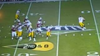 Super Bowl 43 Hines Ward catch