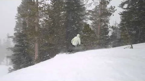 Gavin crushing it
