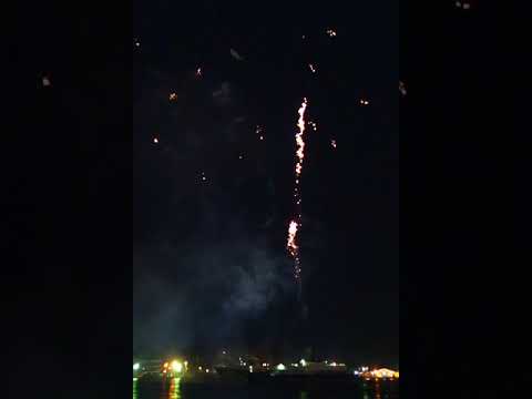 �ߔe�n�[���[2019�ŏI���̉ԉ�(4)�c������