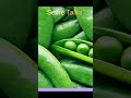 பச்சை பட்டாணி மொத்த விற்பனை (18-11-25) Green peas wholesale market India #vegitablemarket