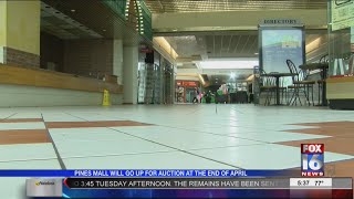The Pines Mall up for auction
