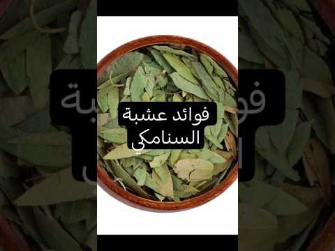السنا مكي الطبيعة في خدمتك اكسبلور دايت وصفات التهاب العلم جديد تجميل ترند عشبة السنامكي 