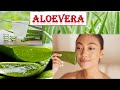 Aloe Vera | Pharmacognosy | Biological Source, Uses & Tests Explained | Complete Explanation