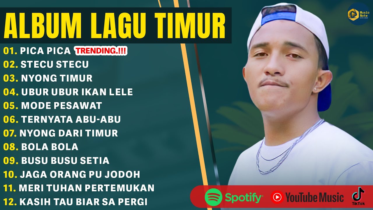 PICA PICA - JUAN REZA | STECU STECU - FARIS ADAM | LAGU TIMUR VIRAL TIKTOK 2025 | LAGU JOGET TIMUR