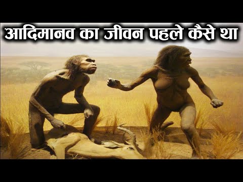 वीडियो: फिटब्रिट 2016: विजेताओं का खुलासा!