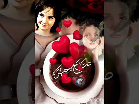 شاديه اياه يقسى عليه ايا ه ينسى اللي كان واتس