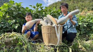 金秋南瓜大丰收，阿嬷做三道南瓜甜品，嫩滑清爽软糯香甜｜pumpkin【闽湖阿嬷Fujian Grandma】