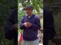 busquenme esa muchacha y traiganmela