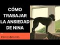 NINA🐶: pis en casa, ladridos, aullidos…Vivía ENFADADA😡 con ELLA