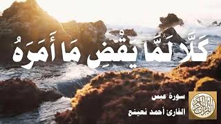 080 أحمد نعينع - سورة عبس