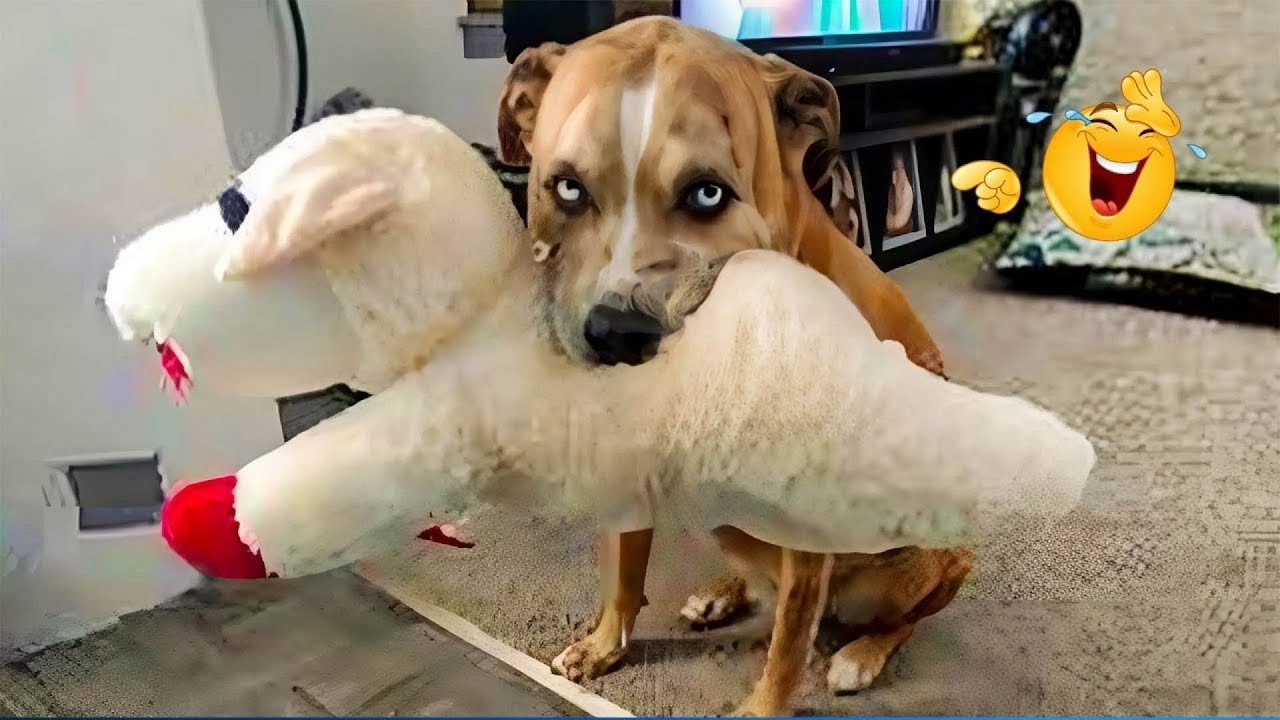 You Can’t Stop Laughing At These Dogs 🤣 FUNNIEST DOGS Video 2026