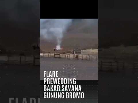 Flare Prewedding Jadi Bencana, Savana Gunung Bromo Terbakar