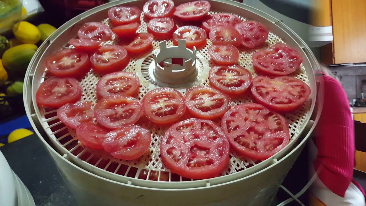 Back to Basics: How to Make Dehydrated Tomato Chips - YouTube