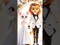"Love Knows No Fear – The Heartwarming Story of a Lion and a Cat 💕💕