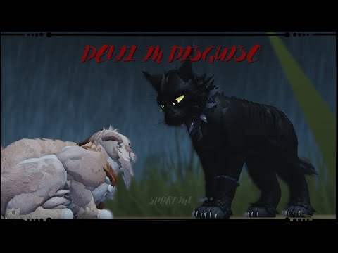 Devil in disguise  | • WCUE MV/EDIT • |