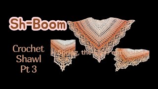 Sh-Boom Crochet shawl pt 3