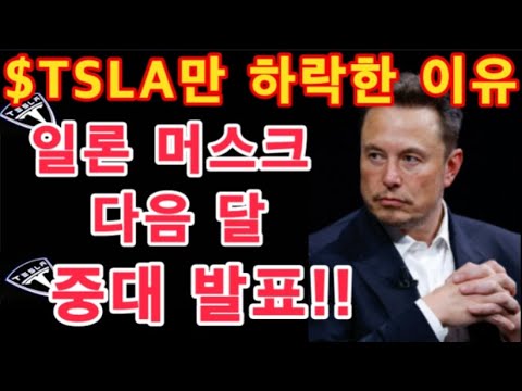 일론 머스크 다음 달 중대 발표!! / $TSLA만 하락한 이유 / 테슬라 투자 / Tesla 주가