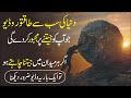 Motivational about success and failures urdu hindi  inspirational speech learn kurooji