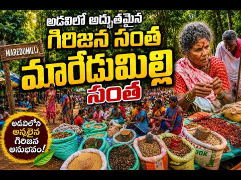 Maredumilli Tribal Market అడవిలో అద్భుతమైన గిరిజన సంత By ASKVLOGS RJY
