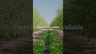 Looking to improve soil health and access funding to do it?