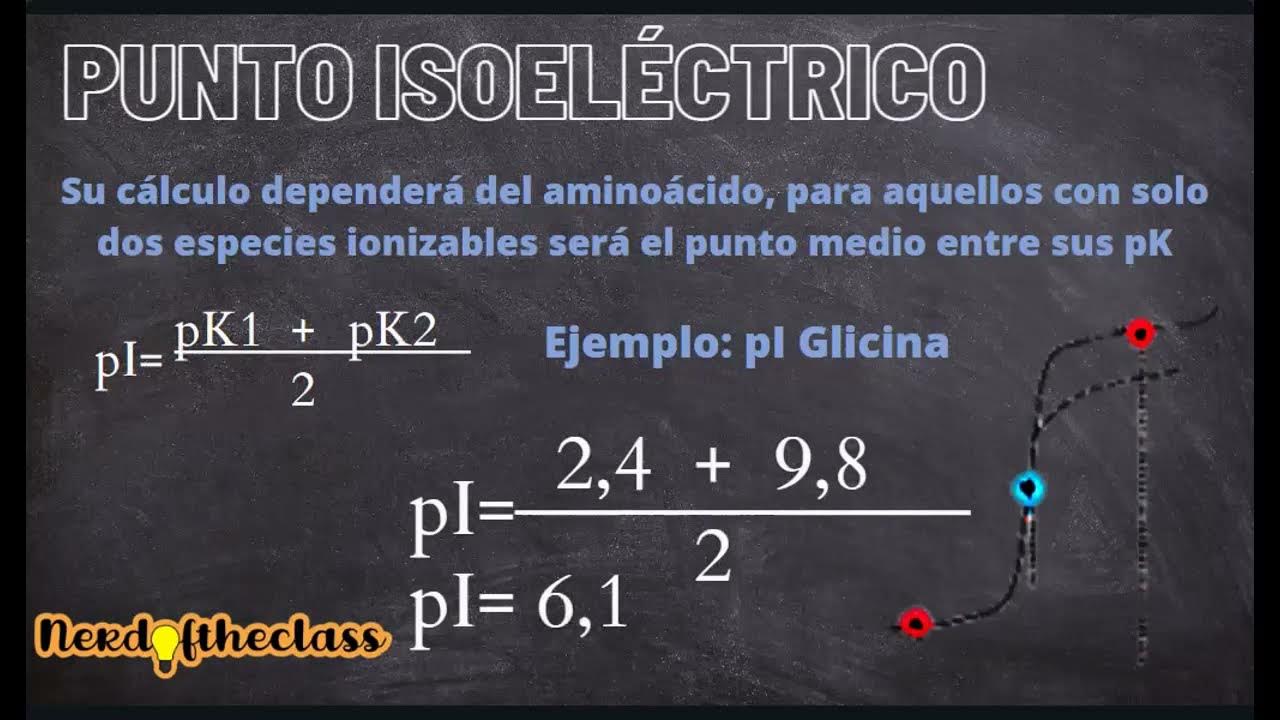 Punto Isoelectrico aminoácidos bioquímica pH YouTube Punto Isoelectrico aminoácidos bioquímica pH YouTube