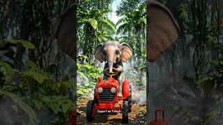 🐘cute baby elephant driving a tractor🚜#ai #cartoon #facts #animals