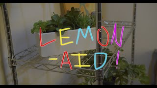 Lemon-Aid by Wandering Studios 134 views 6 months ago 9 minutes, 51 seconds