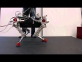 walking and running experiments with the quadruped robot StarlETH