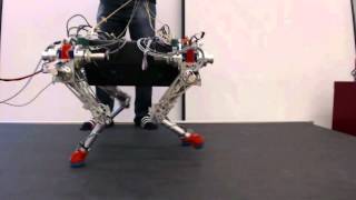 walking and running experiments with the quadruped robot StarlETH