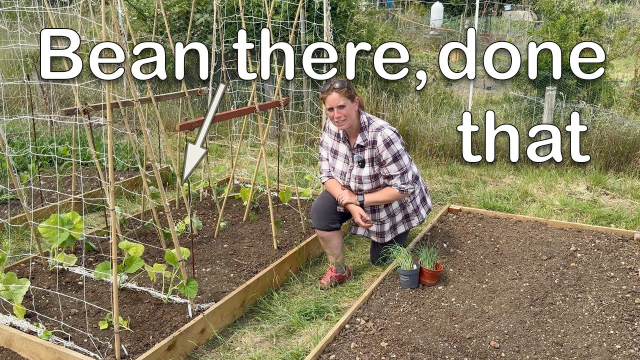 Join me as I plant out the remaining plants from my greenhouse