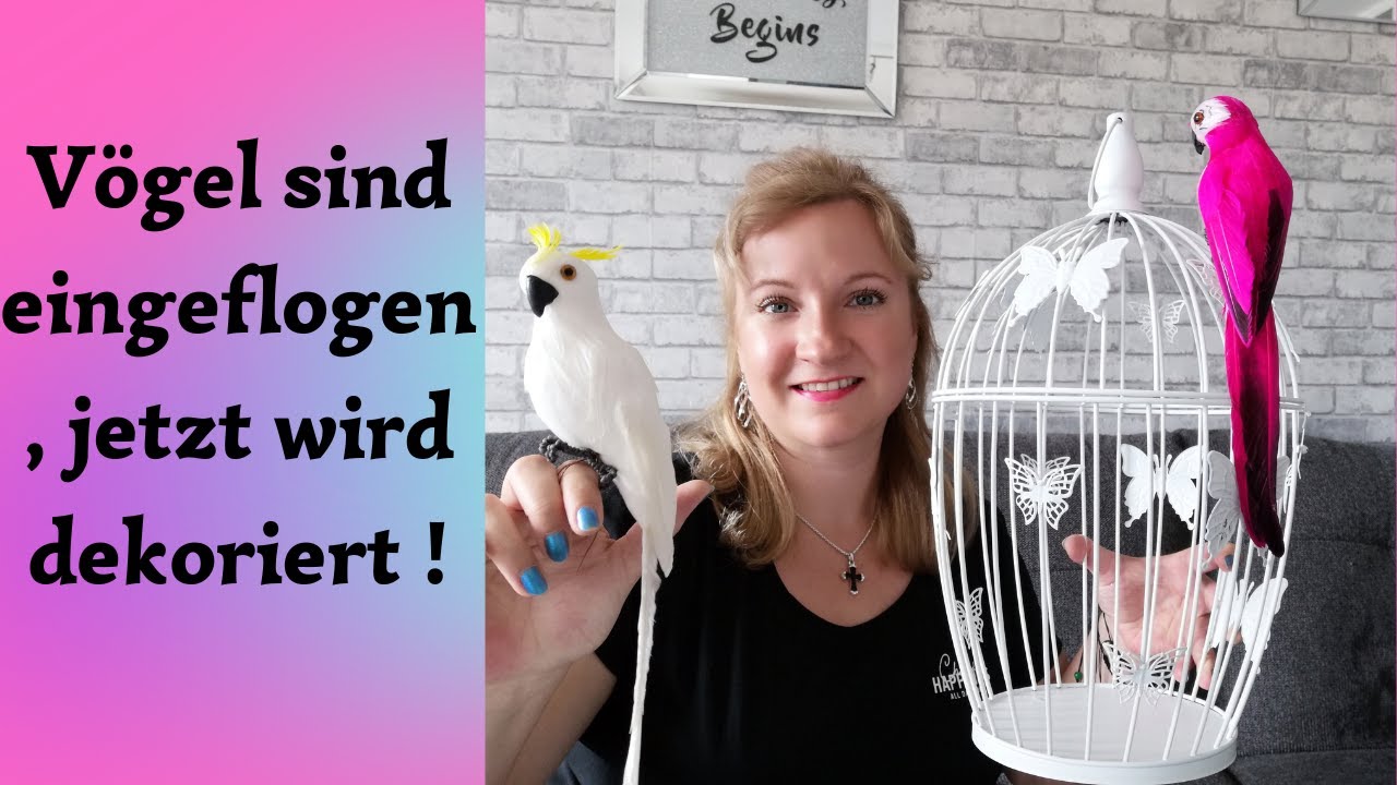 Wie dekoriere ich den Deko -Vogelkäfig von Kik ? # Deko Tipps und Inspiration