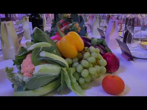 法国华侨华人餐饮总会成立20周年庆祝晚宴别开生面