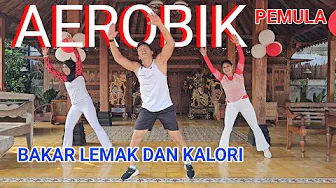 BEGINNER AEROBICS BURN FAT AND CALORIES