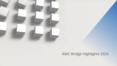 AMC Bridge’s 2024 Highlights