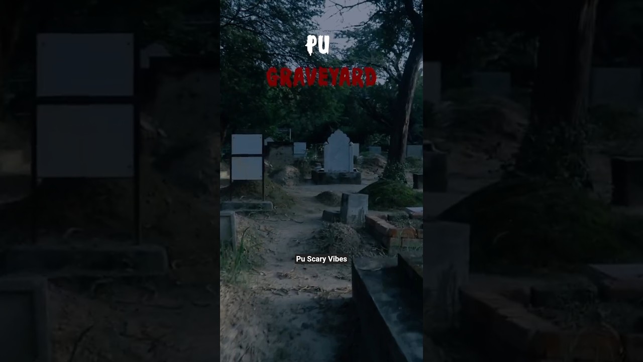 Punjab university is Horror 💀 