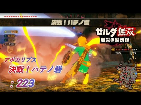 ゼルダ無双 厄災の黙示録 223 決戦 ハテノ砦 Youtube