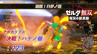 ゼルダ無双 厄災の黙示録 223 決戦 ハテノ砦 Youtube ゼルダ無双 厄災の黙示録 223 決戦 ハテノ砦 Youtube