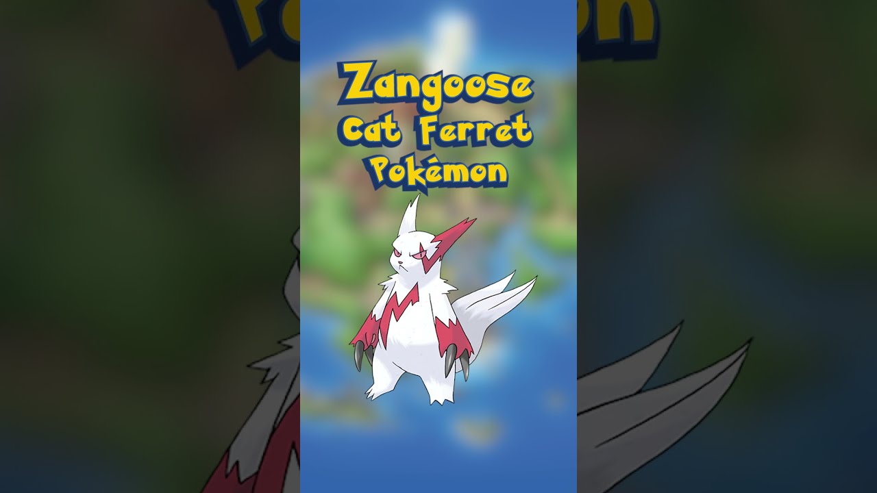 Zangoose the Cat Ferret Pokémon | Daily Pokédex 335  #pokemon #hoenn #zangoose