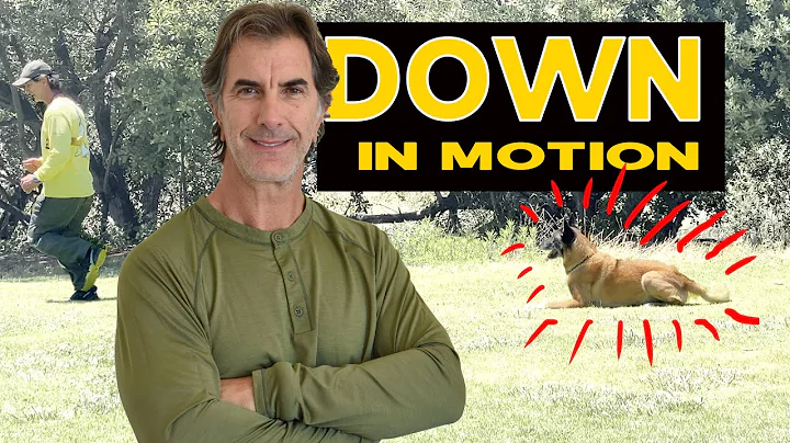 Teach Your DOG DOWN in Motion - Dog Obedience Training Video