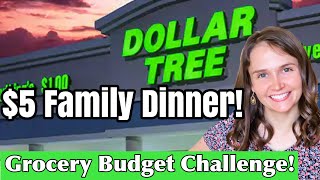 $5 DOLLAR TREE HUGE FAMILY WHATS FOR DINNER | EXTREME GROCERY BUDGET CHALLENGE HAUL | Julia Pacheco