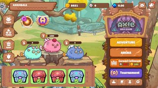 NO HEAL NO SPEEDUP ONLY PURE DAMAGE| BIRD AQUA AQUA TEAM |AXIE INFINITY CLASSIC GAMEPLAY 2024