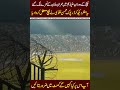Imran KHan Slogan in Cricket Stadium