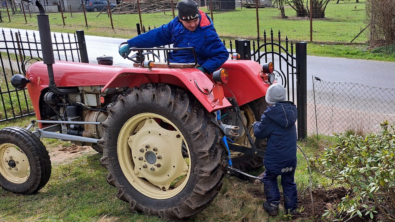 Sadzenie drzew i krzewów pierwsze  odpalanie c328 po zimie 