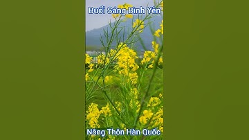 Nông Thôn Hàn Quốc |cuộc sống hàn quốc|