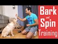 How to Train your Dog/Puppy to Bark (Speak) and Spin | Easy Home Training