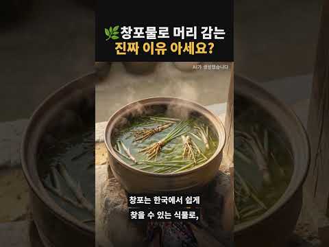 단오에 창포물로 머리를 감는 이유국립민속박물관에서 직접 체험